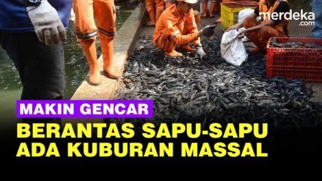 maxresdefaultMAKINBERANSKSPAUSOADAKURBAMASAL2026