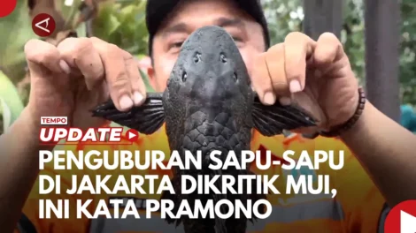 maxresdefaultPENGURHAPSUASODIKASKKKDIAPORNAOMO2026