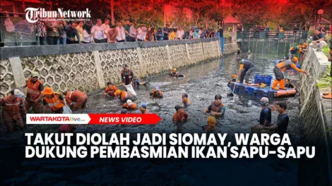 maxresdefaultTAKUTDIOLAHJADISOMAWKJAHSJDJKAKSAPAUSAP2026