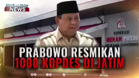 maxresdefaultPRANOSIDASJAHJATIM2026
