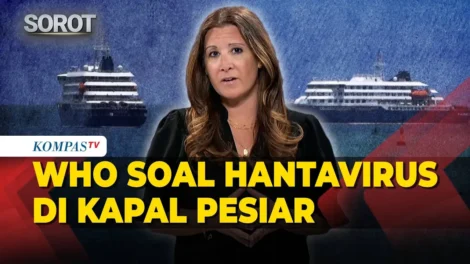 maxresdefaultWHOSOALHANTAIVIUDAOSOPALESIA2026