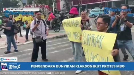 maxres3KASKCMMKKTLAKON20206