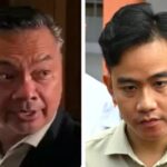 Dino Patti Djalal dan Gibran Rakabuming Raka. Foto: Instagram dan Setpres