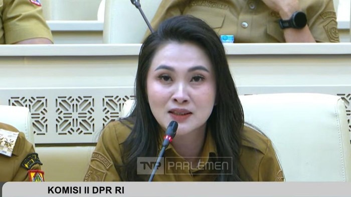 Gubernur Maluku Utara Sherly Tjoanda (Foto: Dok. Istimewa Youtube TV Parlemen)