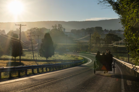 An Amish family rides in a buggy as the sun rises in Belleville, Mifflin County, on Oct. 3. The county has the greatest per capita measles cases in Pennsylvania, 229.8 per 100,000 residents as of this week. Six measles-related deaths have been reported in the state, according to Pennsylvania Department of Health, including an unvaccinated 18-year-old resident of Mifflin County. Aidan T. Gallo / Staff Photographer