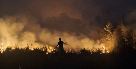 Anwar (55) saat memadamkan api seorang diri dengan alat seadanya saat api hampir melalap kebun yang ia kelola di Jalan Jenderal Sudirman Km 14, Sampit, Kabupaten Kotawaringin Timur, Kalimantan Tengah, Kamis (22/10/2026).(KOMPAS.COM/AKHMAD DHANI)