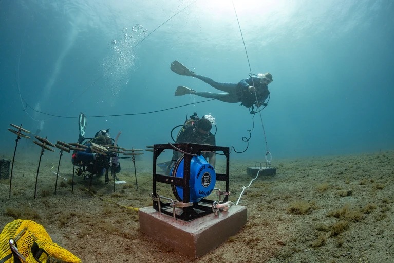 Researchers test a system in Dominica that plays sounds of a healthy reef to help corals grow.Credit: Dan Mele, ©Woods Hole Oceanographic Institution