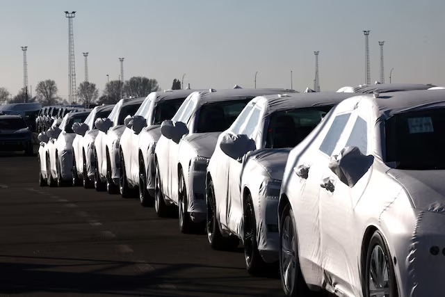 New cars are seen parked in the port of Zeebrugge, Belgium, October 24, 2024. REUTERS/Yves Herman
