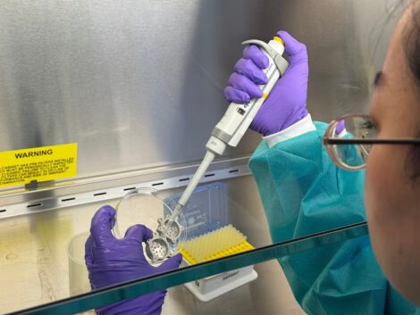 Miniature organs being sent to space for the first time in a joint effort by researchers from Mount Sinai, NASA and aerospace company Space Tango. Blanchard Laboratory at the Mount Sinai Health System