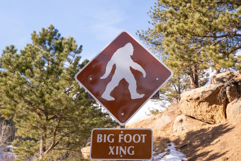 A Bigfoot Hunter Claims to Have Bigfoot's Corpsepabradyphoto - Getty Images
