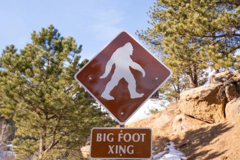 A Bigfoot Hunter Claims to Have Bigfoot's Corpsepabradyphoto - Getty Images