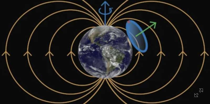 Graphical image summarizing the study. Credit: K.-I. Ellers/University of California, Berkeley.
