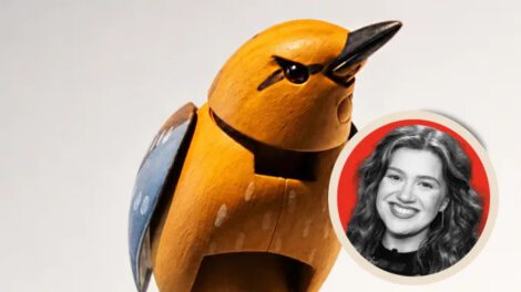 Molly the bird and Kelly Clarkson Photo illustration by THR; source images AP and Getty Images